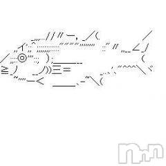 三条デリヘル(マグロサンイラッシャ～イ)の2018年8月9日お店速報「悶絶アナルテクニシャン出勤中！！！」