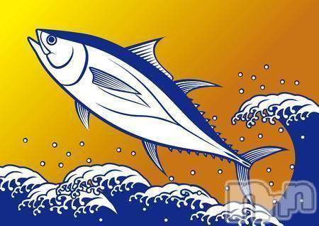 三条デリヘル(マグロサンイラッシャ～イ)の2018年8月10日お店速報「今日はどんな漁師さんに釣られたいですか？？？」