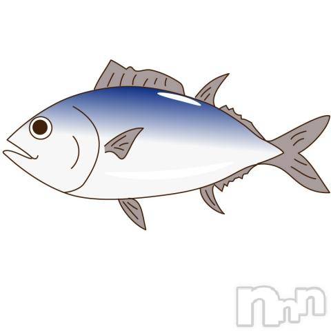 三条デリヘル(マグロサンイラッシャ～イ)の2018年9月18日お店速報「まぐろになっちゃいましょ」