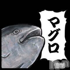 三条デリヘル(マグロサンイラッシャ～イ)の2018年12月15日お店速報「貴方の中に眠る【 M 】を今こそ解き放とう！！」