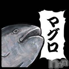 三条デリヘル(マグロサンイラッシャ～イ)の2019年1月19日お店速報「マグロさん、お待ちしております＾＾」