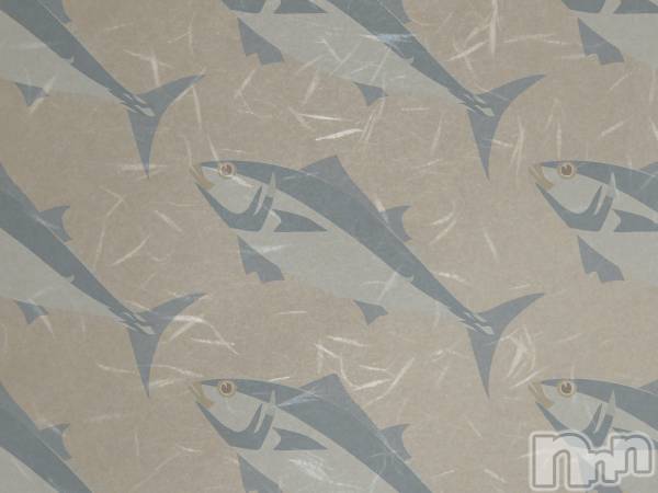 三条デリヘル(マグロサンイラッシャ～イ)の2019年3月2日お店速報「マグロ船出港です！！」