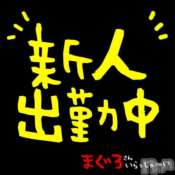 三条デリヘル(マグロサンイラッシャ～イ)の2019年3月23日お店速報「三条エリア欲求不満さんへ告ぐ！！」
