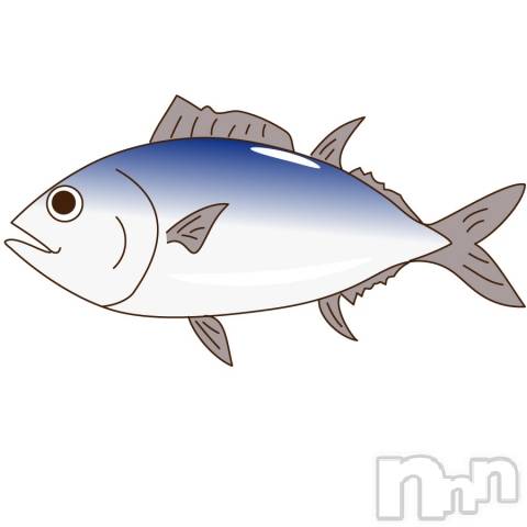 三条デリヘル(マグロサンイラッシャ～イ)の2019年9月6日お店速報「出港準備してください！！」