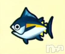 三条デリヘル(マグロサンイラッシャ～イ)の2020年4月21日お店速報「まぐろが釣りたい！！！！！」