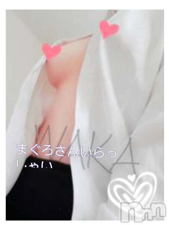 三条デリヘル(マグロサンイラッシャ～イ)の2022年3月14日お店速報「新人だけどプレイはプロなんじゃない」