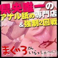 三条デリヘル まぐろさんいらっしゃ～い！-出稼ぎ0！地元の痴女専門店-(マグロサンイラッシャ～イ)の4月20日お店速報「新人らんちゃん出勤中！！」