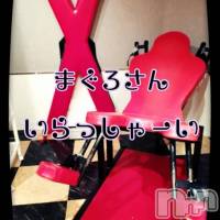 三条デリヘル まぐろさんいらっしゃ～い！-出稼ぎ0！地元の痴女専門店-(マグロサンイラッシャ～イ)の7月25日お店速報「アナル舐めって、、最高ーー！！」