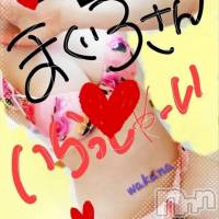 三条デリヘル まぐろさんいらっしゃ～い！-出稼ぎ0！地元の痴女専門店-(マグロサンイラッシャ～イ)の11月24日お店速報「おしりの誘惑！！」