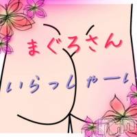 三条デリヘル まぐろさんいらっしゃ～い！-出稼ぎ0！地元の痴女専門店-(マグロサンイラッシャ～イ)の6月3日お店速報「誰にも言えない事されたいの？」