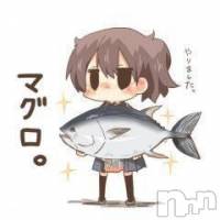 三条デリヘル まぐろさんいらっしゃ～い！-出稼ぎ0！地元の痴女専門店-(マグロサンイラッシャ～イ)の8月8日お店速報「これからアナルどう？？」