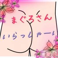三条デリヘル まぐろさんいらっしゃ～い！-出稼ぎ0！地元の痴女専門店-(マグロサンイラッシャ～イ)の9月22日お店速報「バキュームで朝からイチコロ！？」