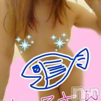 三条デリヘル まぐろさんいらっしゃ～い！-出稼ぎ0！地元の痴女専門店-(マグロサンイラッシャ～イ)の3月7日お店速報「朝からあなるほられませんか？」