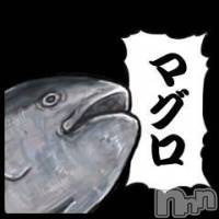 三条デリヘル まぐろさんいらっしゃ～い！-出稼ぎ0！地元の痴女専門店-(マグロサンイラッシャ～イ)の12月8日お店速報「いろんなタイプの漁師さん出勤中！！」