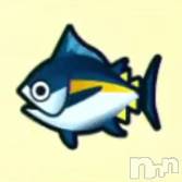 三条デリヘル まぐろさんいらっしゃ～い！-出稼ぎ0！地元の痴女専門店-(マグロサンイラッシャ～イ)の4月21日お店速報「まぐろが釣りたい！！！！！」