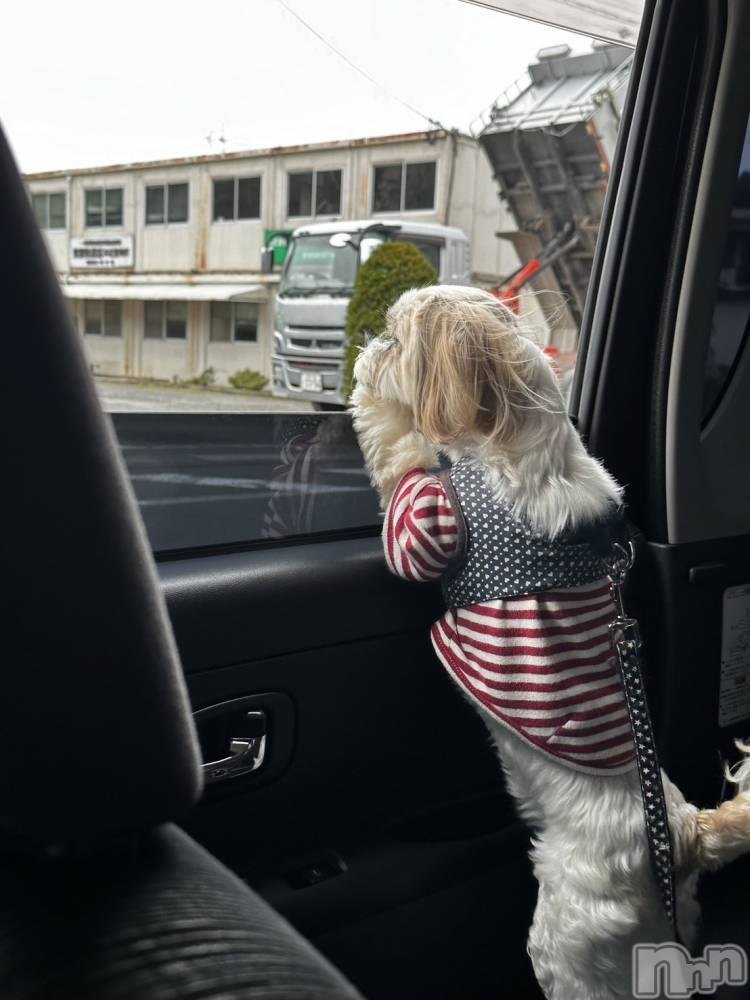ƲХ顦CLUBS(֥) 422̥֥🐶🐾🩵