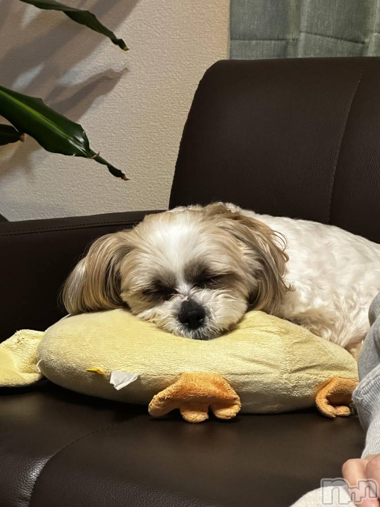 ƲХ顦CLUBS(֥) 510̥֥🐶🐾🫶🏻  ̖́-‬