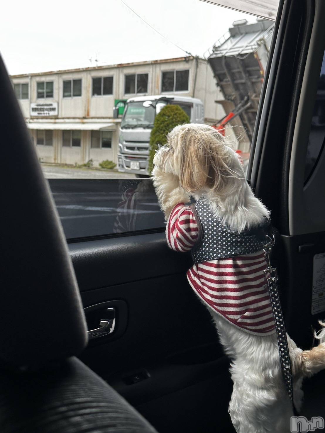 ƲХ顦CLUBS(֥) 2024ǯ422̥֥🐶🐾🩵