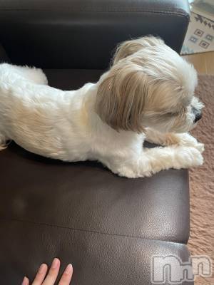 ƲХ顦CLUBS(֥) (23)46̥֥🐶🐕