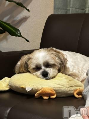 ƲХ顦CLUBS(֥) (23)510̥֥🐶🐾🫶🏻  ̖́-‬