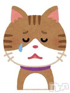 新潟デリヘルOffice Amour(オフィスアムール)まどか/ヘルス課(25)の2026年2月11日写メブログ「度々ごめん、急募2nd」