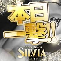 新潟デリヘル SILVIA(シルビア)の11月29日お店速報「一撃イベント開催中今なら即激かわ美女ちゃん伺えます早い者勝ちです」