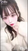 48 0429ʬư