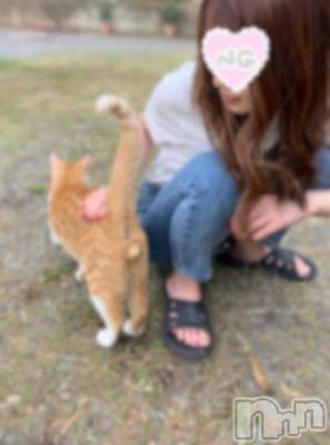 上田発人妻デリヘル BIBLE～奥様の性書～(バイブル～オクサマノセイショ～) ★エマ★(28)の9月26日写メブログ「こんばんは🧸🌙」