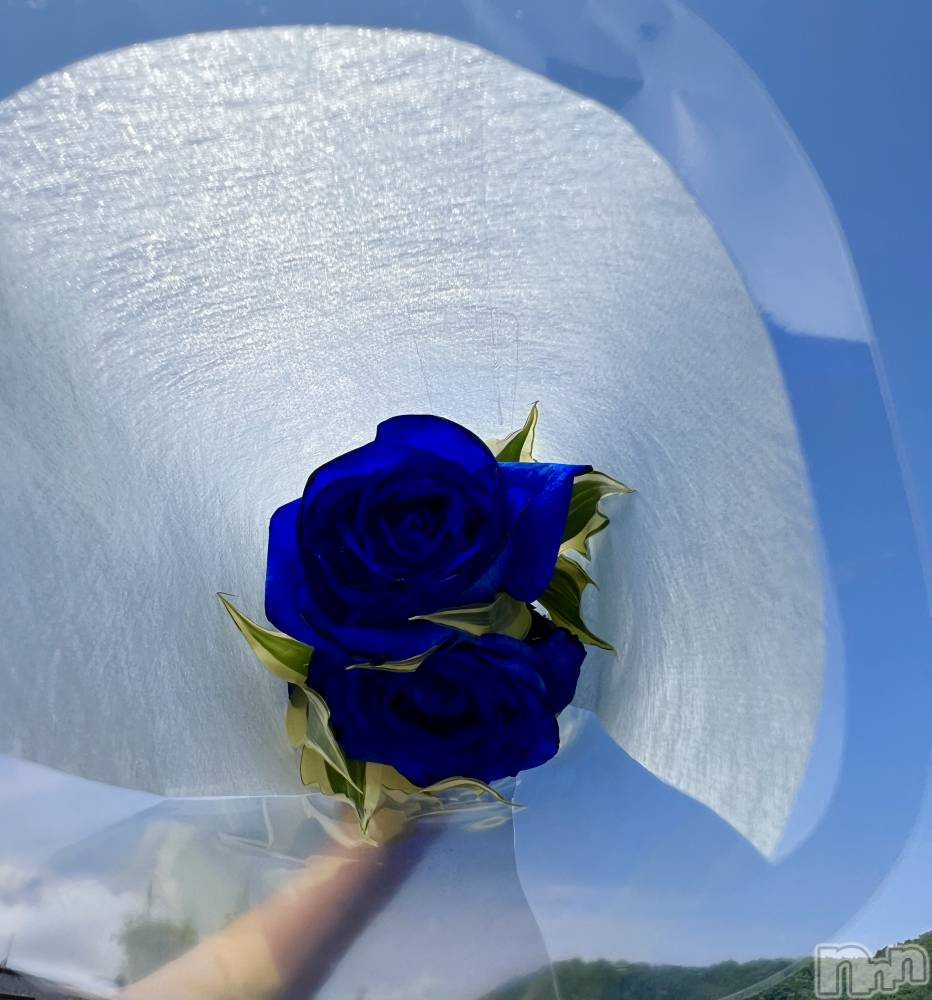 ĮХ顦֥ ץ ( ץ ) 620̥֥֤ȥġåȡ