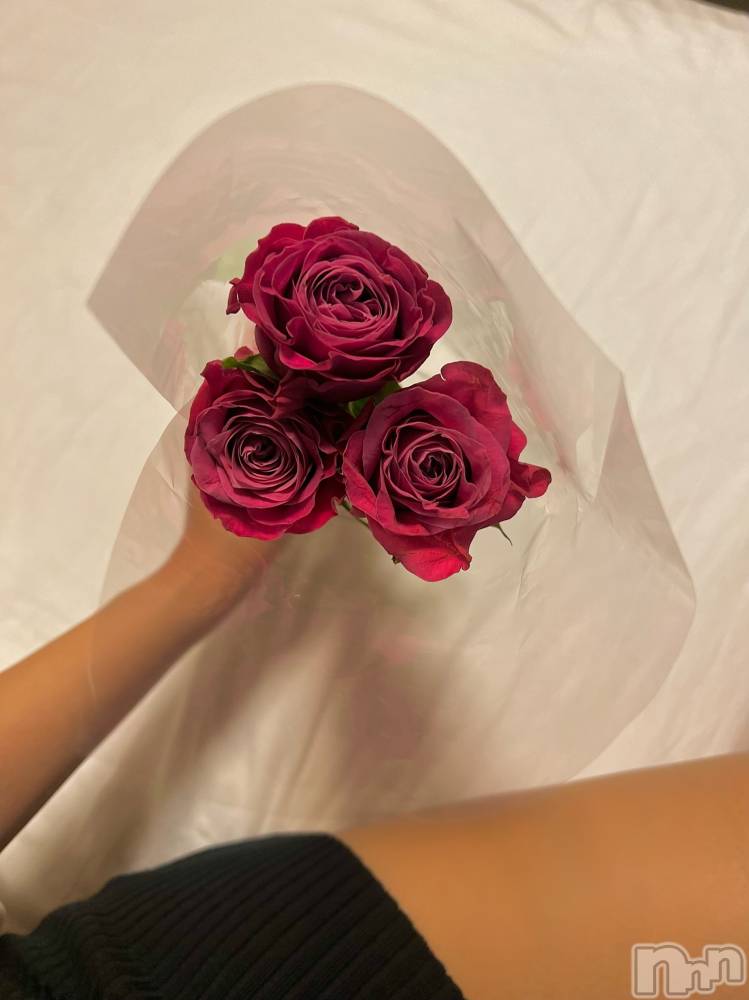 ĮХ顦֥ ץ ( ץ ) 72̥֥🌹