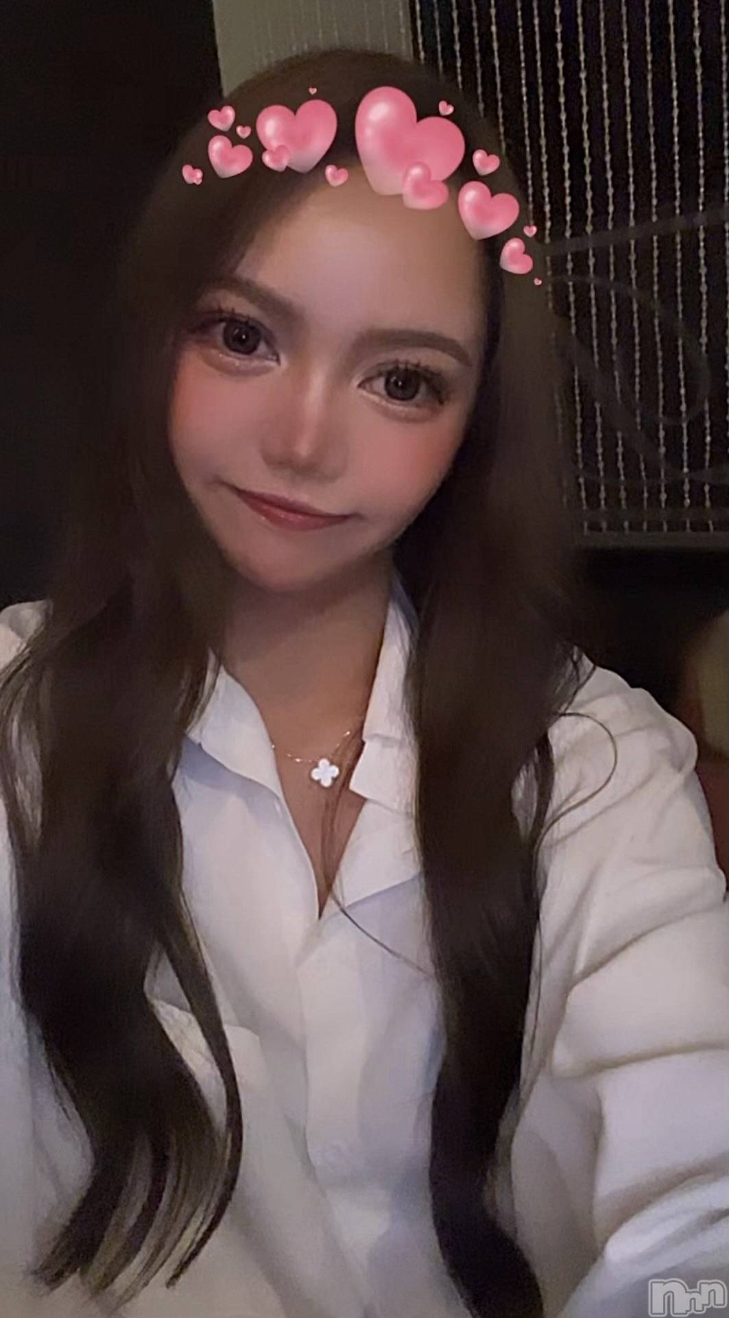 ĮХ顦֥ ץ ( ץ ) 2024ǯ923̥֥֥磻ĥ٥2ܡ