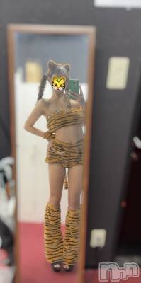 ĮХ顦֥ ץ ( ץ ) 222̥֥֤Ȥ餷