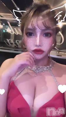 🐱
