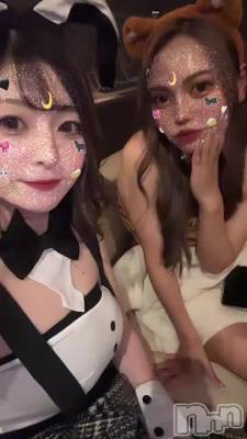 ץ쥤٥🐰🐯