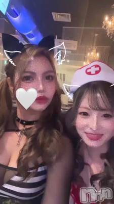 ץ쥤٥🐱❤️