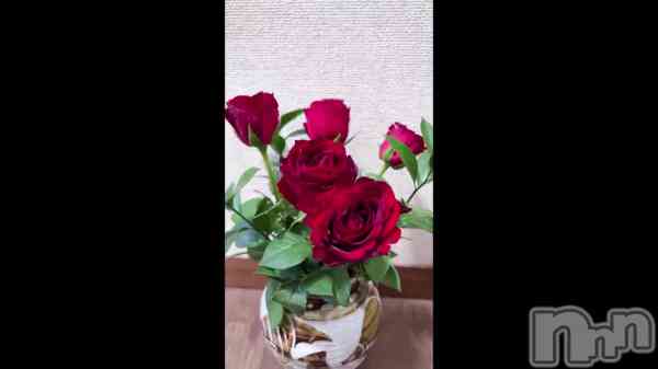 &#x1F339;