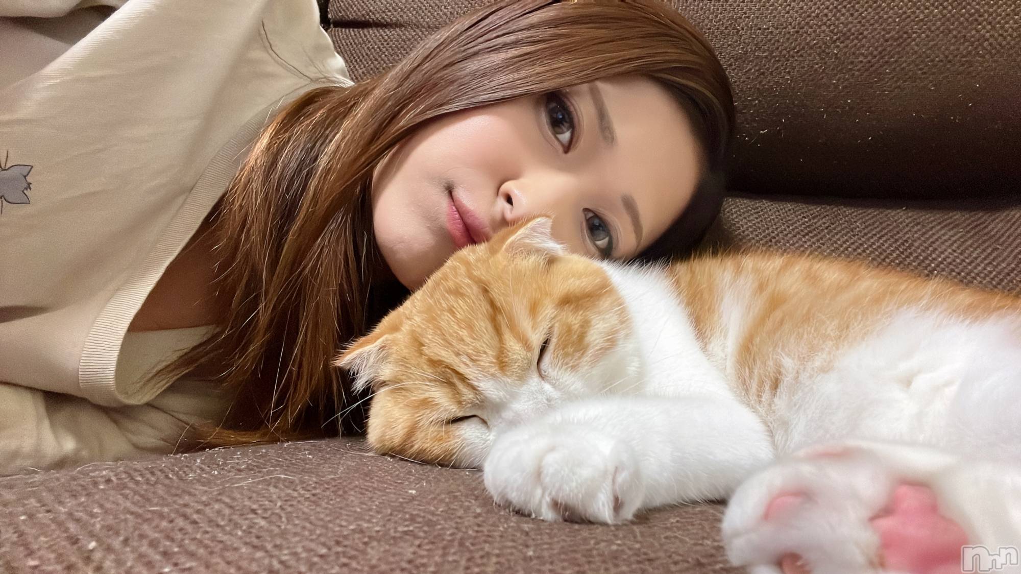 ܻϩʥå륺СAnthem (󥻥) 2023ǯ1031ֵ̥֥١