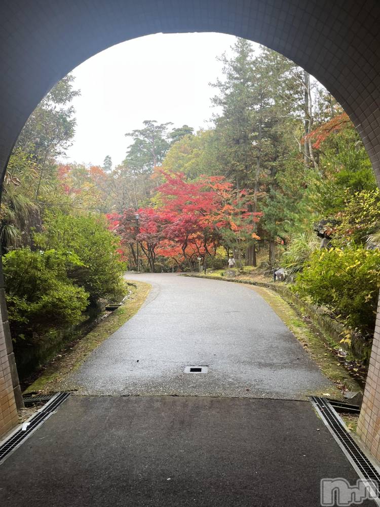 ȯѥ˥󥯥ֿ㥳ѥ˥󥯥HEAVEN(˥ѥ˥󥯥֡إ֥) ߤ1127̥֥֤🍁