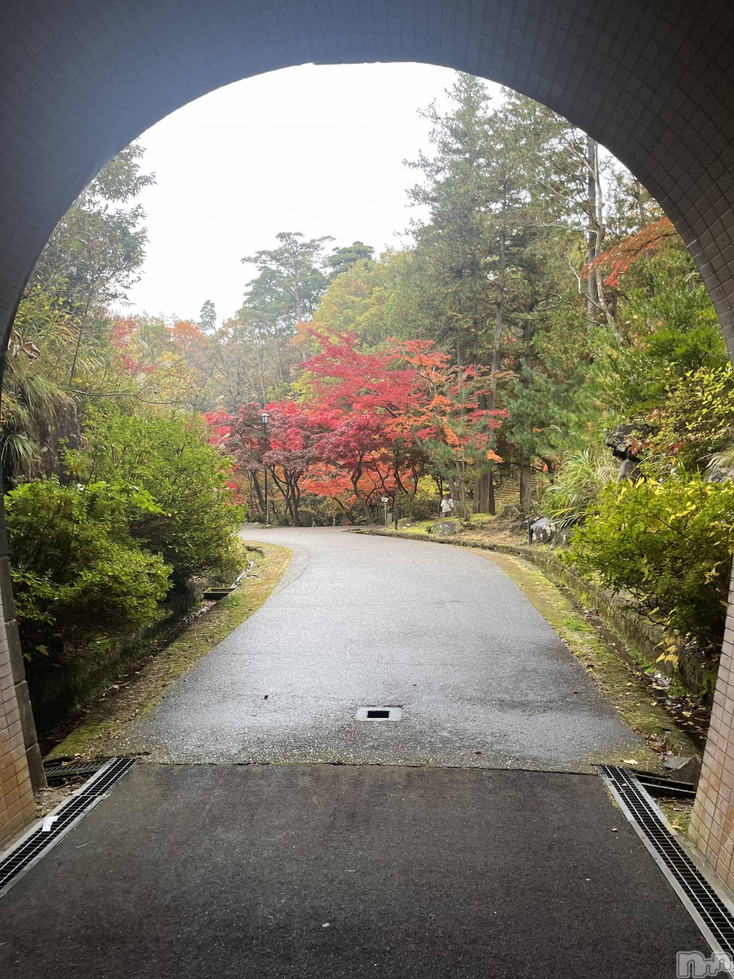 ȯѥ˥󥯥ֿ㥳ѥ˥󥯥HEAVEN(˥ѥ˥󥯥֡إ֥) 2025ǯ1127̥֥֤🍁