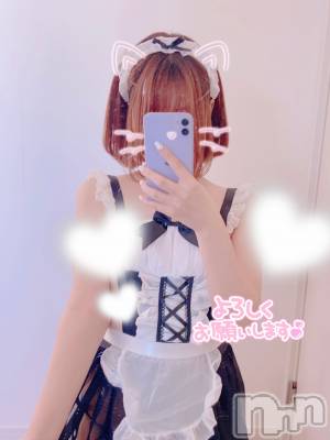 ȯѥ˥󥯥ֿ㥳ѥ˥󥯥HEAVEN(˥ѥ˥󥯥֡إ֥) ߤ721ֺ̥֥ϡ