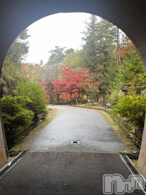 ����ȯ����ѥ˥��󥯥�ֿ��㥳��ѥ˥��󥯥��HEAVEN(�˥���������ѥ˥��󥯥�֡��إ֥�) �ߤ���11��27���̥�֥����֤�������🍁��