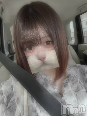 ����ȯ����ѥ˥��󥯥�ֿ��㥳��ѥ˥��󥯥��HEAVEN(�˥���������ѥ˥��󥯥�֡��إ֥�) �ߤ���12��4���̥�֥�����ͽ�󤬡�