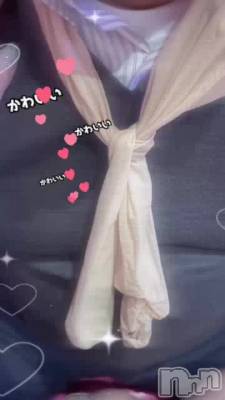 Ũʥͥץ쥼ȡ