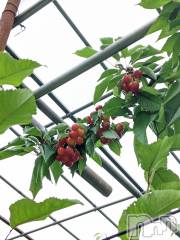 長岡デリヘル長岡人妻市(ナガオカヒトヅマイチ) まほ★『激レア出勤美人妻』(32)の8月12日写メブログ「はじめまして」