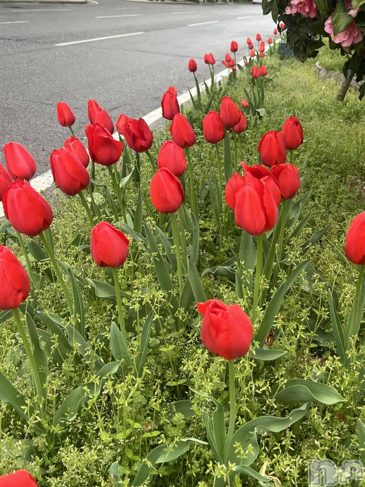 �������������Х��顦�����CLUB Reve-�졼��-(����֥졼��) ������4��16���̥�֥����֤Ϥ� Part.2��