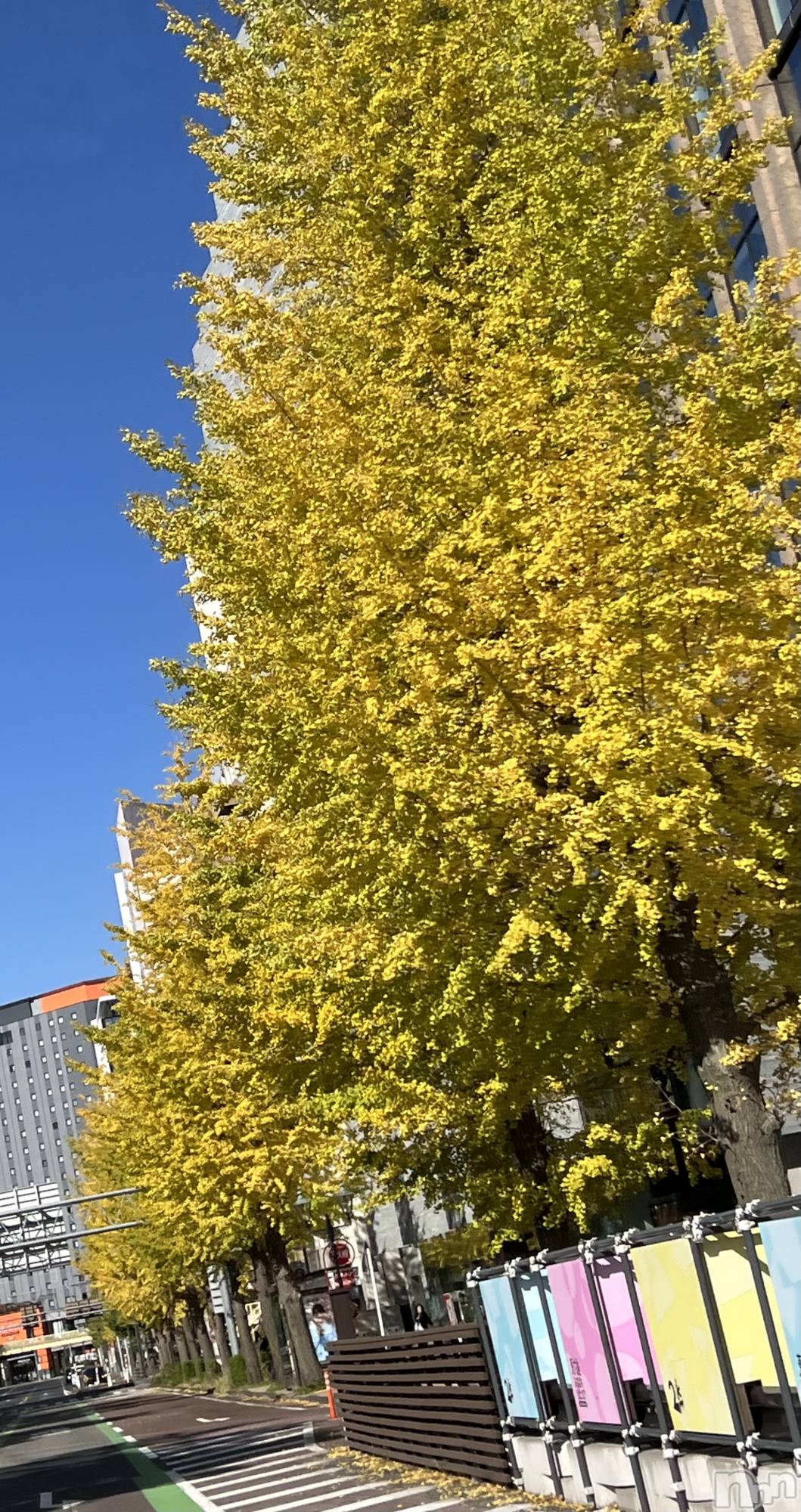 Х顦CLUB Reve-졼-(֥졼) 2025ǯ1127̥֥֤Τ