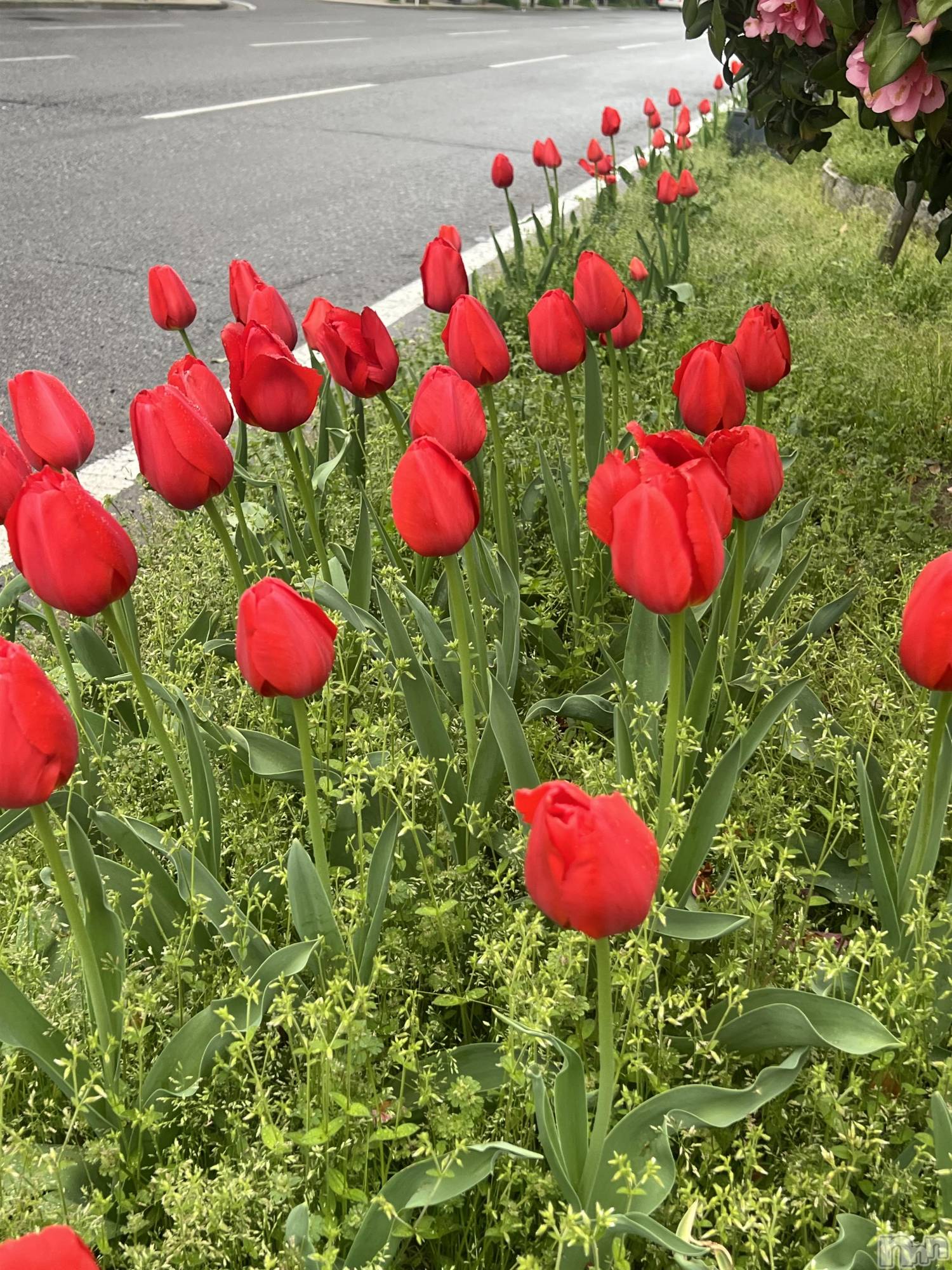 �������������Х��顦�����CLUB Reve-�졼��-(����֥졼��) ��2026ǯ4��16���̥�֥����֤Ϥ� Part.2��