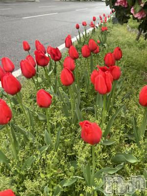 �������������Х��顦�����CLUB Reve-�졼��-(����֥졼��) ������4��16���̥�֥����֤Ϥ� Part.2��