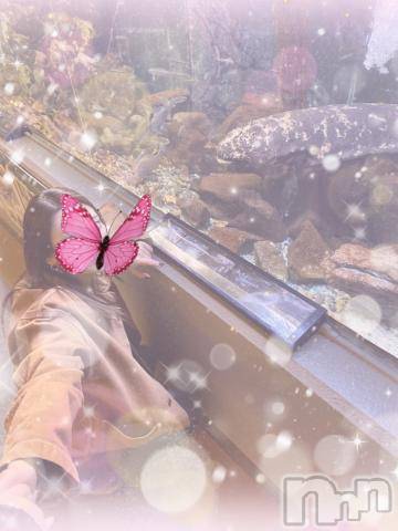 上越デリヘルRICHARD（リシャール）(リシャール) 早乙女みれい(22)の12月17日写メブログ「クリスマス～🎄.*」