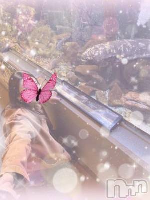 上越デリヘル RICHARD（リシャール）(リシャール) 早乙女みれい(22)の11月12日写メブログ「完売です😌」